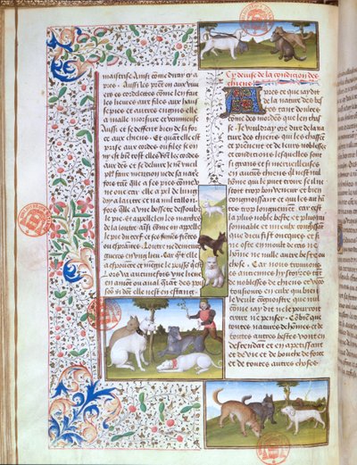Hunting Dogs, from the Livre de la Chasse by Gaston Phebus de Foix by French School