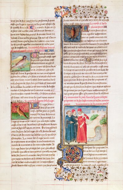 The Properties of the Tortoise, the Hoopoe and the Bat, from 