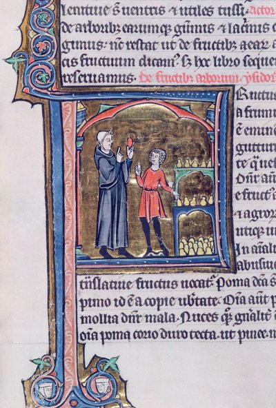 Teaching the best way of preserving pears, from Le Miroir de la Nature by Vincent de Beauvais by French School