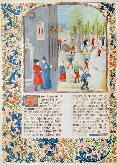 Cutting Trees and Harvesting, from Livre des Prouffitz Champestres by Pietro de Crescenzi by French School