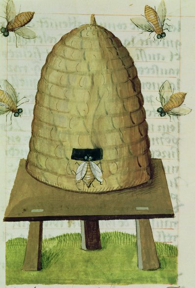 Beehive and Bees, from Grand Herbier by French School