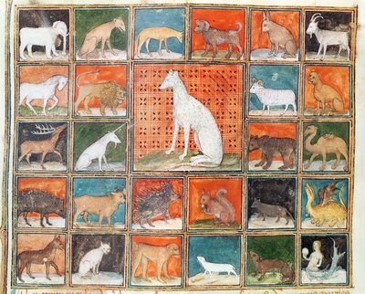 The Properties of Beasts: The Mammals, from Le Livre des Proprietes des Choses by Jean Cordichon by French School
