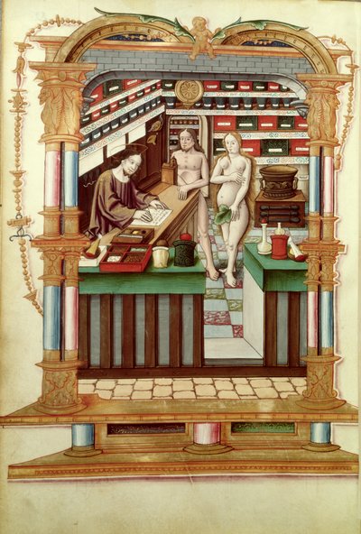 Christ the Pharmacist with Adam and Eve, from Chants royaux sur la Conception couronnee du Puy de Rouen by French School