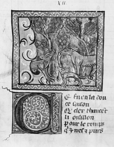 The fox, the wolf and the dog, from Le Roman de Renart by French School