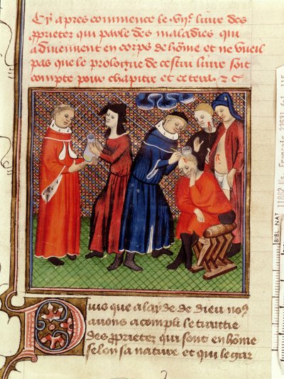 The Urine Examination and the Healing of Wounds, from Le Livre des Proprietes des Choses by Barthelemy l