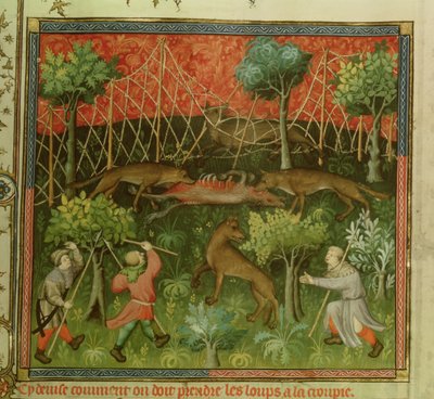 Wolf hunt with the aid of nets, from the Livre de la Chasse by Gaston Phebus de Foix (1331-91) by French School