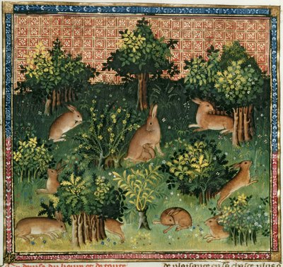 Hares in a Wood, from the Livre de la Chasse by French School