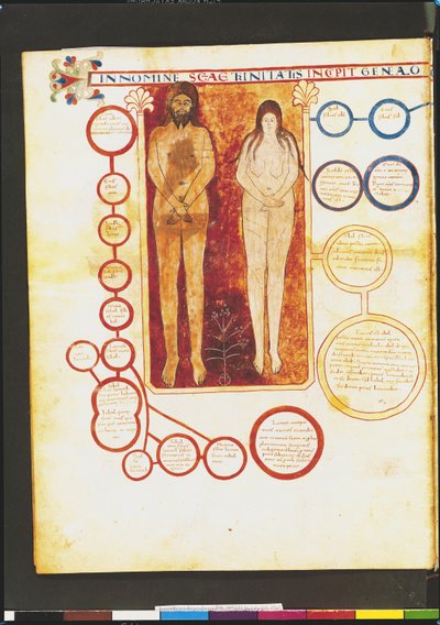 Adam and Eve and the Genealogy of Christ, from a Commentary on the Apocalypse by the Asturian monk Beatus of Liebana, c.1028-72 by French School