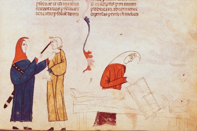 Torture scene, from Les Coutumes de Toulouse by French School