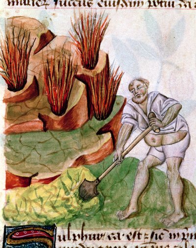 Looking for Sulphur, from Dioscorides De Herbis by French School