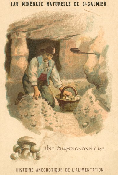 Mushroom grower by French School