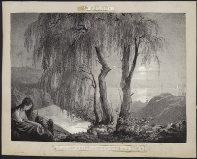 Napoleon Bonaparte Visiting His Tomb on St Helena by French School