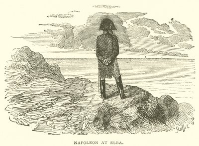 Napoleon at Elba by French School