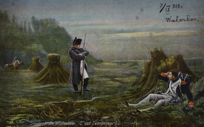Napoleon at Waterloo by French School