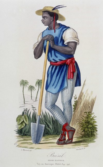 Negro planter of Brazil, from 
