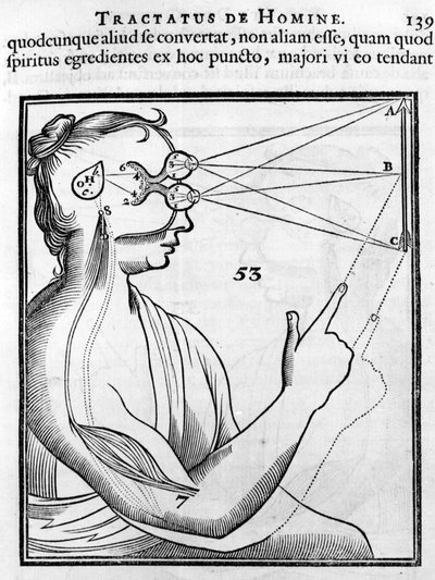 Ophthalmology: The Eye and the Sight - from 