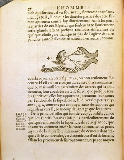 Optical diagram, from De Homine Figuris by Rene Descartes published in The Hague, 1662 by French School