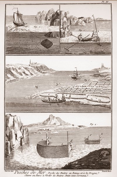 Oyster Fishing - The Great Encyclopedie by French School