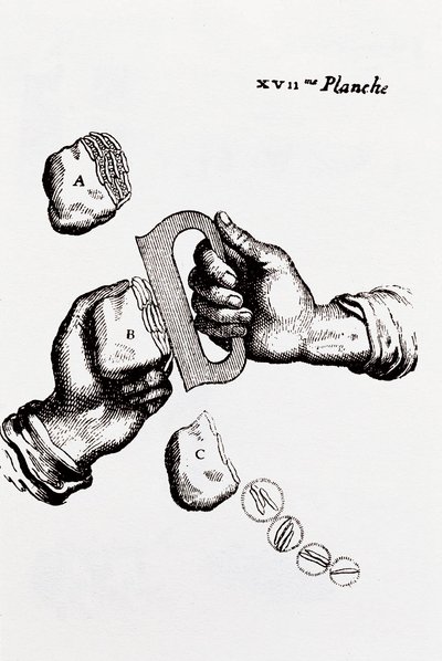 Page from 