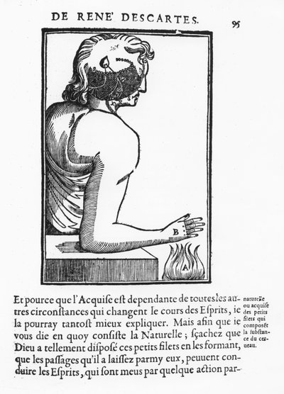 Page from 
