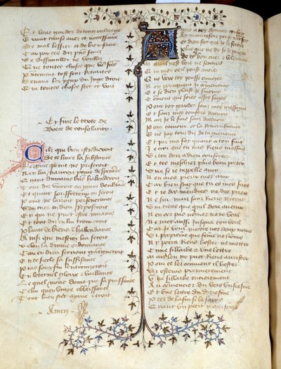 Page taken from the manuscript 
