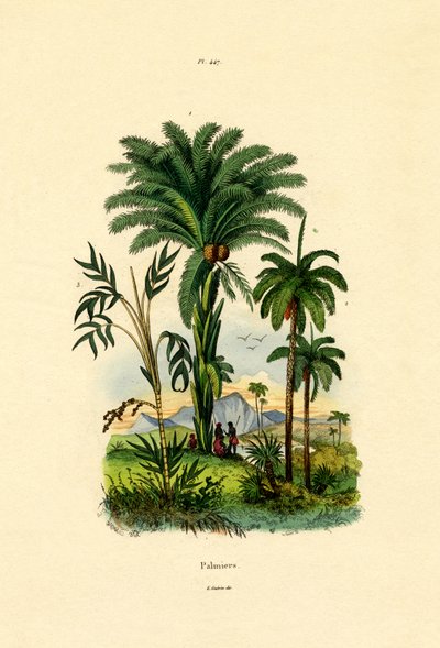 Palm Trees by French School