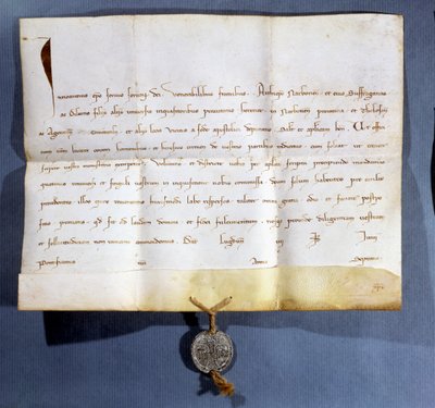 Papal bull by Pope Innocent IV against the Albigenses by French School