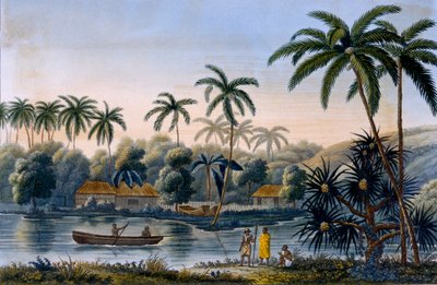 Part of the village of Matavae, coconut palms and other fruit, Tahiti, from Voyage autour du Monde sur la Corvette Coquille by Lieutenant Louis Isidore Duperrey, published 1826 by French School