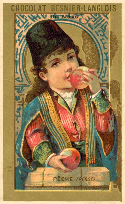 Peaches from Persia by French School