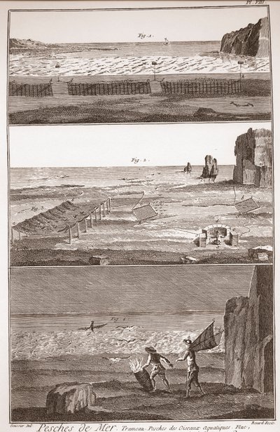 Waterbird Fishing - The Great Encyclopedie, ou Dictionnaire Raisonne des Sciences, des Arts et des Metiers (Encyclopedia or Dictionary of the Sciences, Arts and Professions) by Denis Diderot (1713-1784) and Jean d
