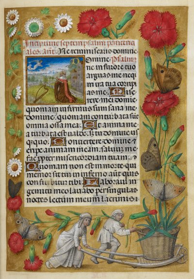 Penitential Psalms. Foot of folio: woman pushing a wheelbarrow bearing a large carnation growing out of a pot by French School