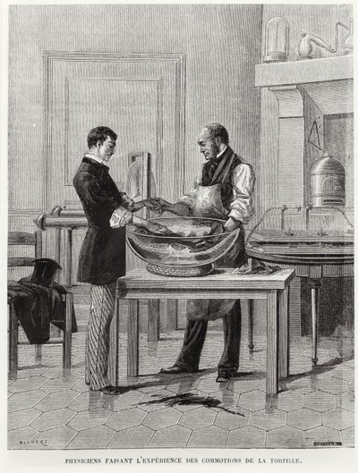 Physicists experimenting on a torpedo, 2nd half 19th century by French School