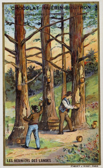 Pine Resin Collectors in the Landes, France by French School