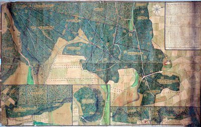 Plan and survey of the woods belonging to the nuns of Port Royal des Champs (Port-Royal-des-Champs) 1723 Paris, Archives nationales by French School