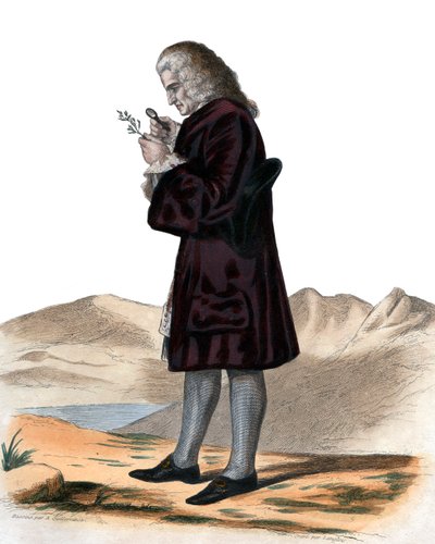 Portrait of Bernard de Jussieu by French School