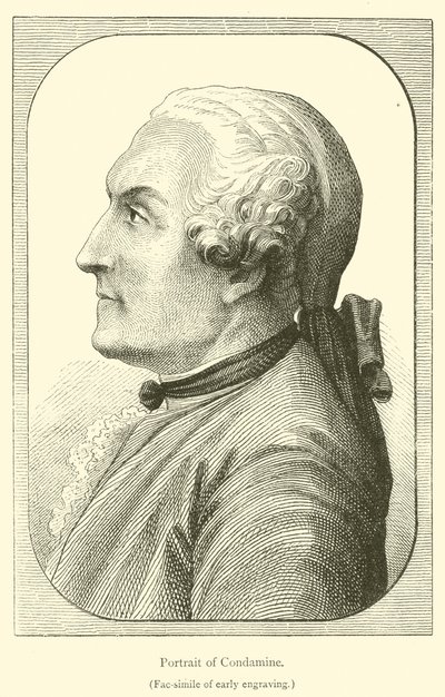 Portrait of Condamine by French School