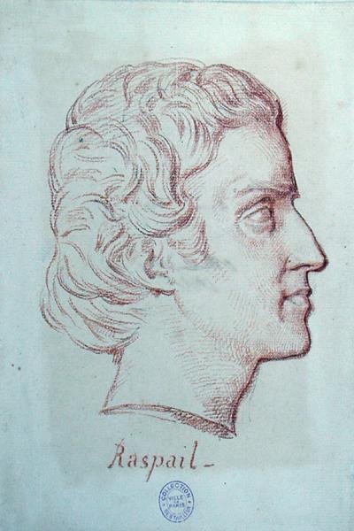 Portrait of Francois Vincent Raspail (1794-1878) by French School