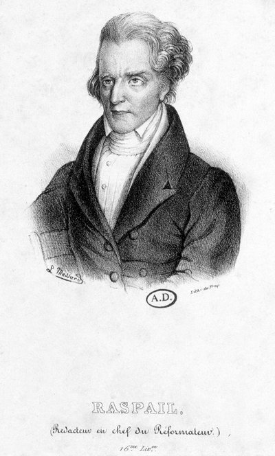 Portrait of François Vincent Raspail (1794 - 1878): Editor-in-Chief of the Reformer by French School