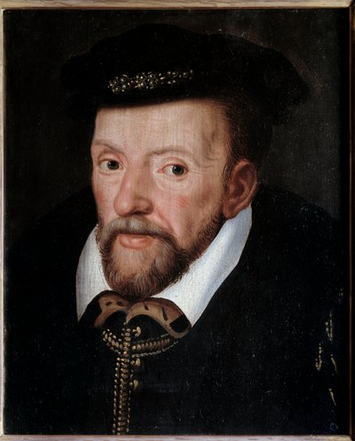 Portrait of Gaspard de Coligny (1519-1572) Admiral of France by French School