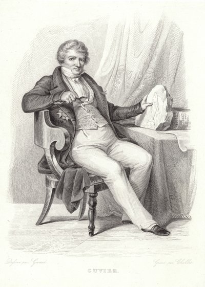 Portrait of George Cuvier by French School
