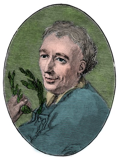 Portrait of Laurence Eusden by French School