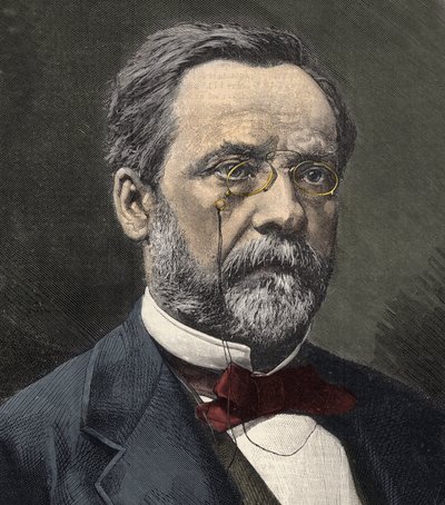 Portrait of Louis Pasteur (1822-1895), French chemist and microbiologist by French School