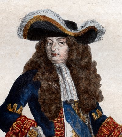 Portrait of Louis XIV of France, King of France by French School
