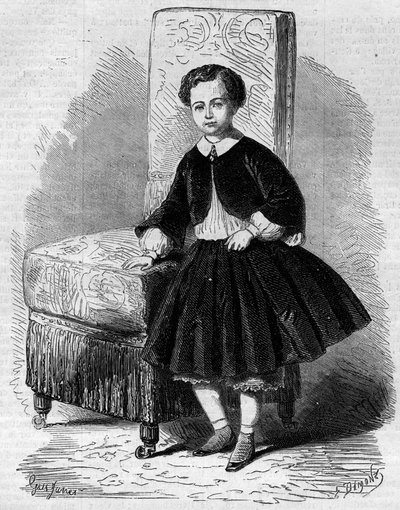 Portrait of Napoleon Eugene Louis Jean Joseph Bonaparte, known as Prince Imperial, son of Napoleon III. Engraving in 
