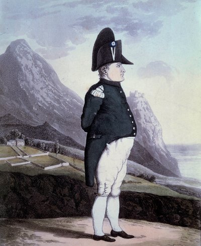 Portrait of Napoleon I on the Island of Saint Helena in May 1815 by French School