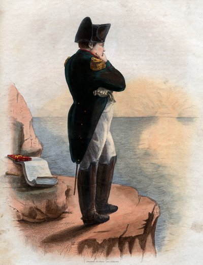 Portrait of Napoleon I on the island of St Helena by French School