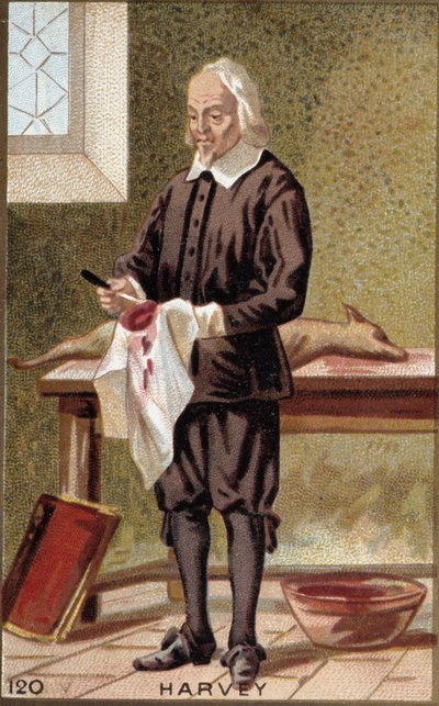 Portrait of William Harvey (1578-1657), English physician by French School