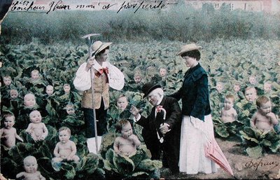 Postcard Depicting a Couple Looking for a Baby by French School