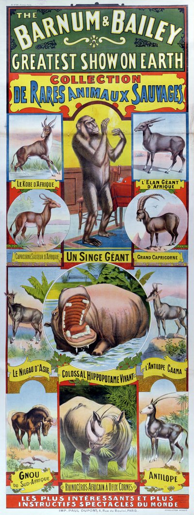 Poster Advertising the Collection of Rare Wild Animals for the Barnum and Bailey Circus by French School