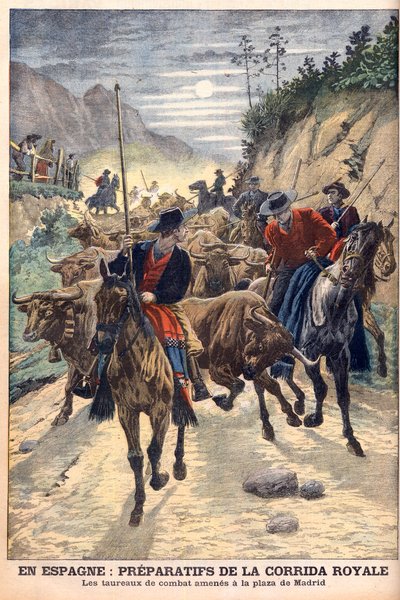 Preparations for the bullfights to celebrate the wedding of King Alfonso XIII of Spain. Bulls being taken to Madrid. Illustration for Le Petit Journal by French School